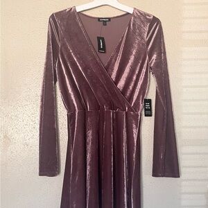 Express Long Sleeve Velvet Dress - Mauve NWT